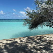 фото из отзыва ID 2614019