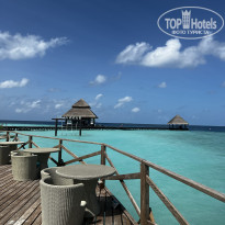 фото из отзыва ID 2614019