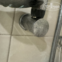 фото из отзыва ID 2614060