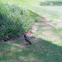 фото из отзыва ID 2613798