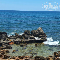 фото из отзыва ID 2614153