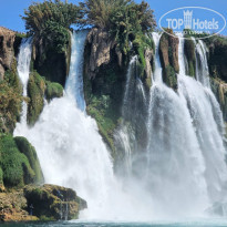 фото из отзыва ID 2614233