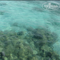 фото из отзыва ID 2614270