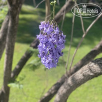 фото из отзыва ID 2614291