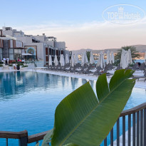 фото из отзыва ID 2614373