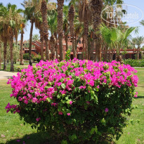 фото из отзыва ID 2614575