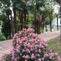 фото из отзыва ID 2614622