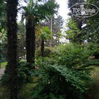 фото из отзыва ID 2614622