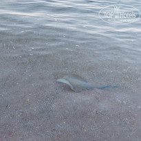 фото из отзыва ID 2614791