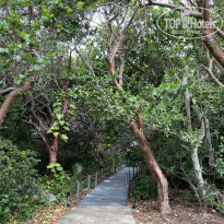 фото из отзыва ID 2614954