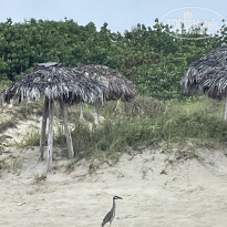 фото из отзыва ID 2614954