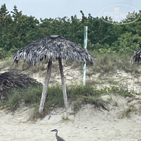 фото из отзыва ID 2614954