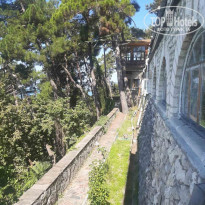 фото из отзыва ID 2615050