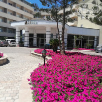 фото из отзыва ID 2615469