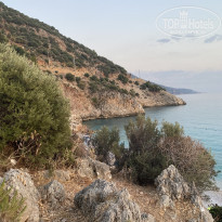 фото из отзыва ID 2615507