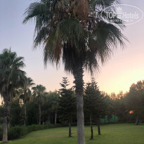 фото из отзыва ID 2615592