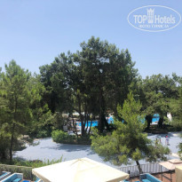 фото из отзыва ID 2615592