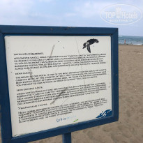 фото из отзыва ID 2615592