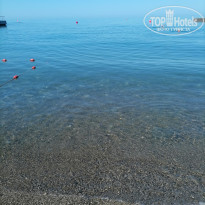 фото из отзыва ID 2615669