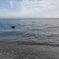 фото из отзыва ID 2615766