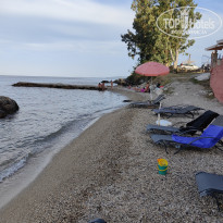 фото из отзыва ID 2615766