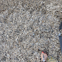 фото из отзыва ID 2615766