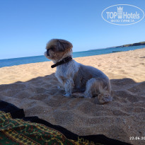 фото из отзыва ID 2615882