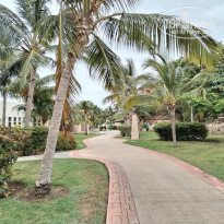 фото из отзыва ID 2615879