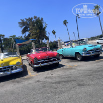 фото из отзыва ID 2616034