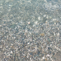 фото из отзыва ID 2616113