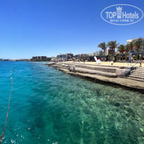 фото из отзыва ID 2616132