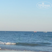 фото из отзыва ID 2616159