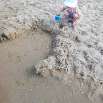 фото из отзыва ID 2616141