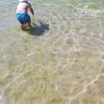 фото из отзыва ID 2616141