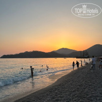 фото из отзыва ID 2616381