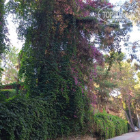 фото из отзыва ID 2616395