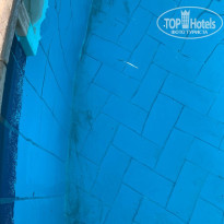 фото из отзыва ID 2616427