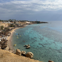 фото из отзыва ID 2616387