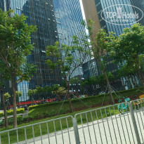 фото из отзыва ID 2616446