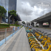 фото из отзыва ID 2616446