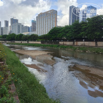 фото из отзыва ID 2616446