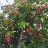 фото из отзыва ID 2616446