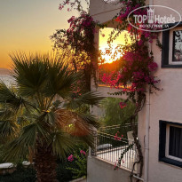 фото из отзыва ID 2616553