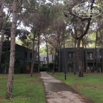 фото из отзыва ID 2616722