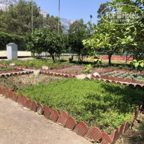 фото из отзыва ID 2616722