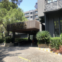 фото из отзыва ID 2616722