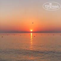 фото из отзыва ID 2616722