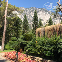 фото из отзыва ID 2616722