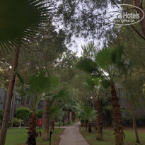 фото из отзыва ID 2616722