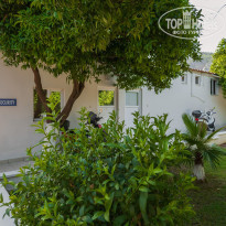 фото из отзыва ID 2614612